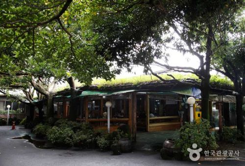 제주의 숨은 별미, 교래마을 토종닭 샤부샤부