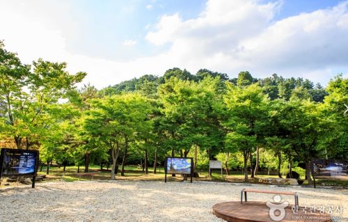 힐링 할 수 있는 단양팔경 휴게소