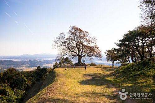한국관광공사가 추천하는 영화·드라마 속 걷기 여행