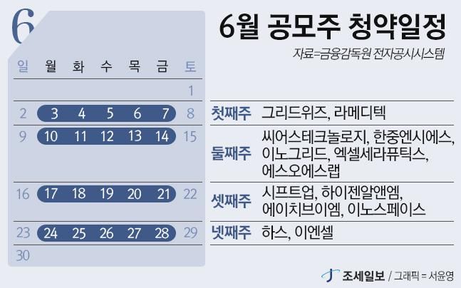 6월 공모주 ‘큰장’ 열린다... 그리드위즈·라메디텍·시프트업 등 13개사 청약
