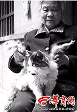 날개달린 고양이, 정말로 있는거야? 없는거야?