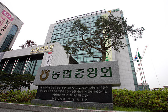 궤양 앓는 ‘공룡’ 농협 수술 안하면 ‘멸종’하나
