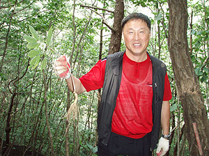 “진품명품 장뇌삼 이렇게 만듭니다”