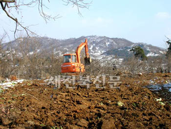 혁신도시 선정지역에 때아닌 나무심기 열풍