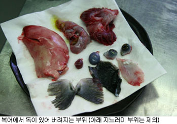 복어는 왜 비쌀까? 복요리에 대한 모든 것!