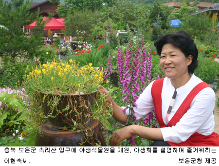 충북 속리산 토종야생화 보러오세요