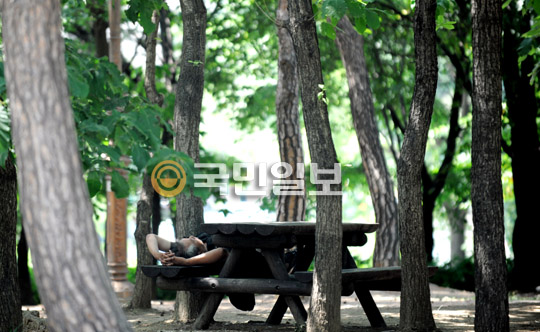 소나무 그늘 아래 단잠