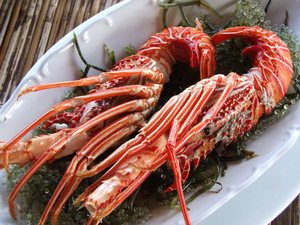 [여기 어때]필리핀 맛기행…★만큼 많은 섬 별별 맛 多 있네~