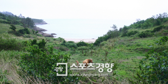 [전남 신안]‘한적한 섬여행지 3선’ 그 섬에 가고 싶다
