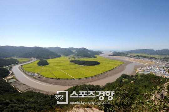 [전남 영광 법성포]‘천고굴비’의 계절…포구에 들어서니 입맛도 설렌다