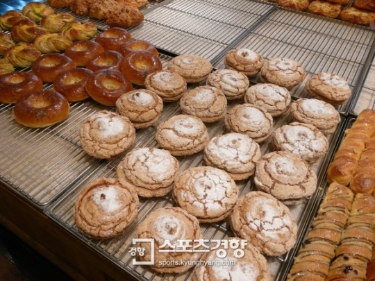 맛좋은 빵 찾아 떠나는 빵빵한 도시여행