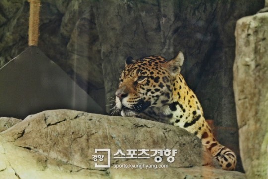 [트래블&힐링-그곳에 가면…]한화호텔 & 리조트 ‘아쿠아플라넷 일산’