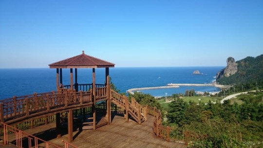 [박연선의 청춘통신-울릉에서 책을 읽다] 센스 앤 넌센스