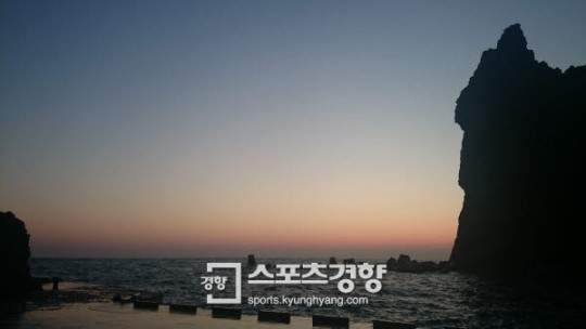 [박연선의 청춘통신-울릉에서 책을 읽다] 기적의 세기