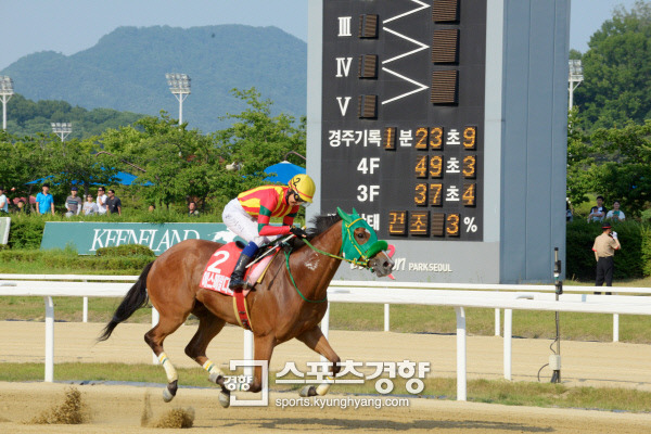 [경마] 한국 첫 국제오픈경주 우승컵 일본에 내줘…한국 2위 체면치레