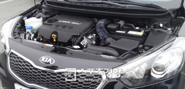 오늘도 내일도 가마솥 더위…“애마, 어떻게 관리하죠”