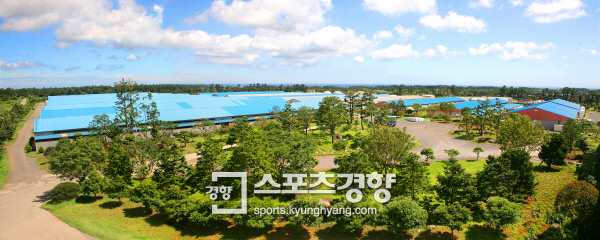 여기가 양돈장이야 수목원이야…제주동부축산이 꿈꾸는 청정 양돈