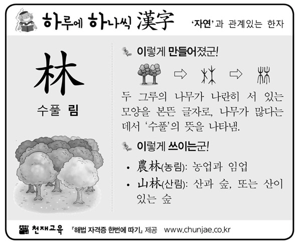 [하루에 하나씩 한자]‘자연’과 관계있는 한자 - 林(수풀 림)