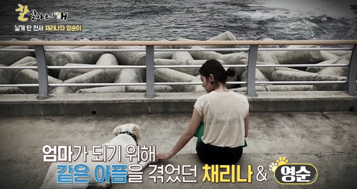 ‘잘살아보시개’ 채리나 반려견 ‘영순이’의 상상 임신 소동 공개