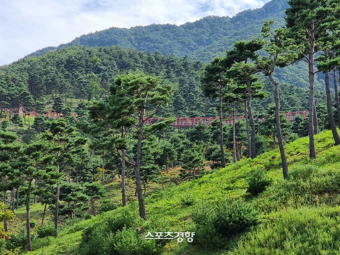 ‘한방’, ‘만방’에 알릴 ‘산청엑스포’…기찬~ ‘산청’초목, 예찬~ ‘산청’경개[투어테인먼트]