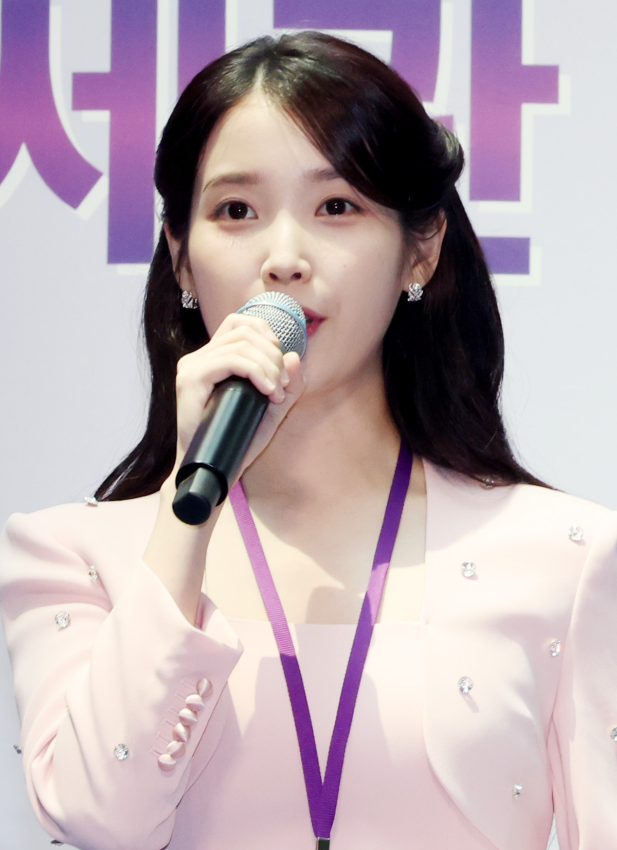 “아이유는 간첩” 악플러, 1심서 징역형 집행유예