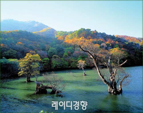 [Special Campaign](9)사시사철 색다른 색깔을 뽐내는 경북 청송