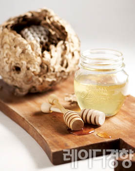 꿀과 함께하는 달콤한 여행 Honey Honey