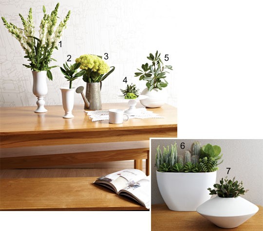 플라워 데코 Spring Flower Decoration Lesson