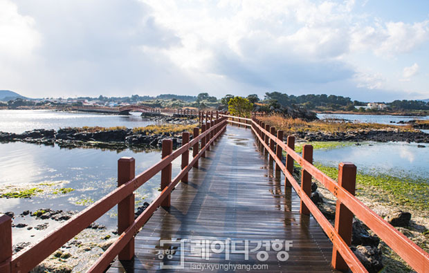 제주의 새 길을 만나다…성산·오조 지질트레일