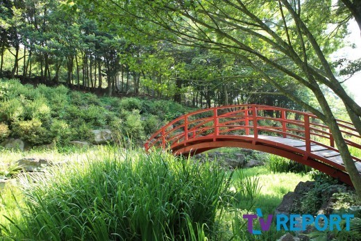 [발도장] 도심 속 힐링여행…제주도 한라수목원