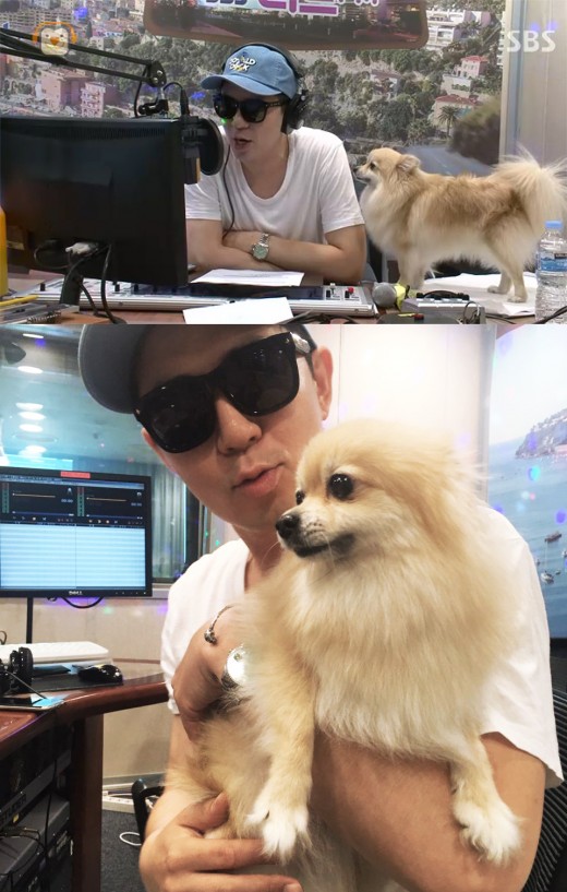 붐, 반려견 쫑쫑이와 생방송 진행 “라디오 역사상 최초” 자신