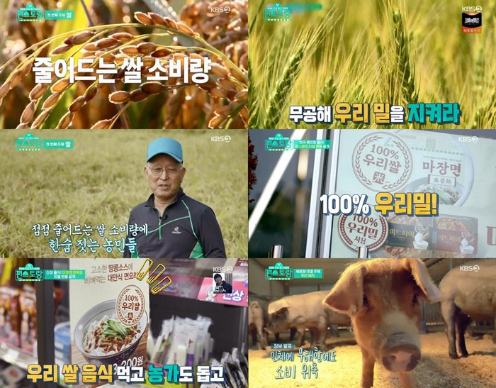 우리 쌀 60톤+우리 밀60톤 소비…‘편스토랑’의 ‘상상 초월 영향력’