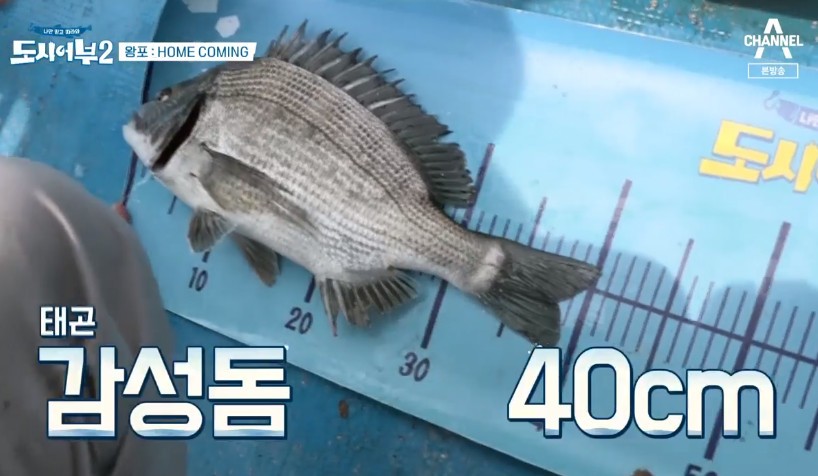 ‘도시어부’ 이태곤, 4짜 감성돔 낚고 함박웃음