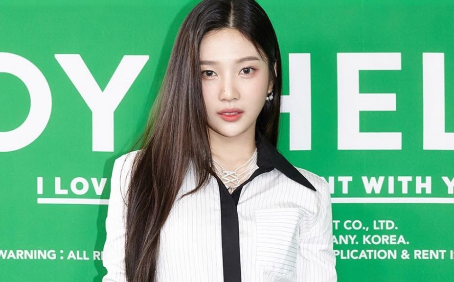 레드벨벳 조이, 솔로 안녕 발표…예명 조이처럼 [종합]