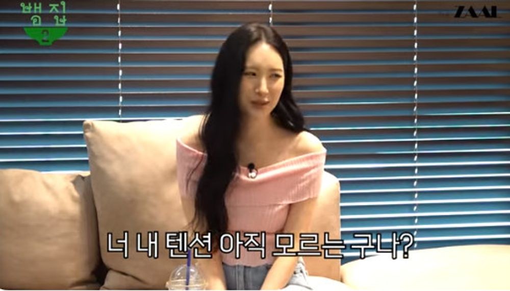 선미 원더걸스 시절 태연 팬...연락 자주 못하지만 많이 챙겨줘 (뱀집)