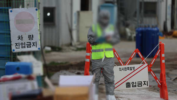 전남 영암 오리농장에서 고병원성 AI 확진