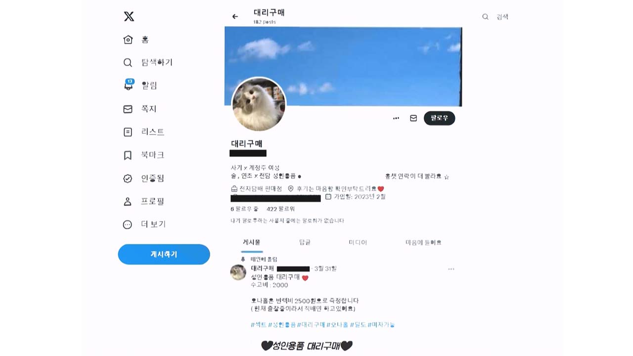 성인인증 없이 청소년에 성인용품 판매한 쇼핑몰 대표 등 적발