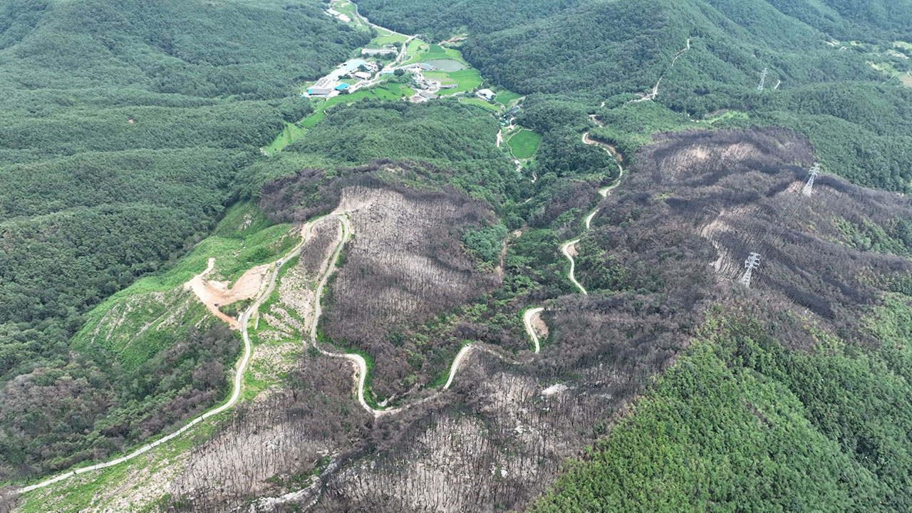 감사원 산림청, 임도 늘리기에만 집중‥부실시공 방지는 소홀