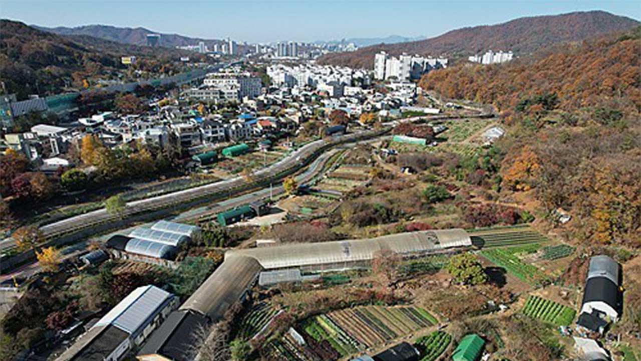 오늘부터 공공주택지구 보상 절차 빨라진다‥첫 대상은 서리풀지구