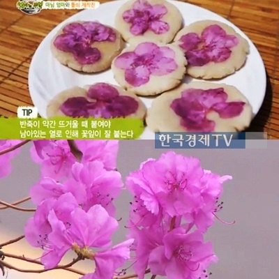 진달래 철쭉 구별법, 두견화전 만드는 방법은?