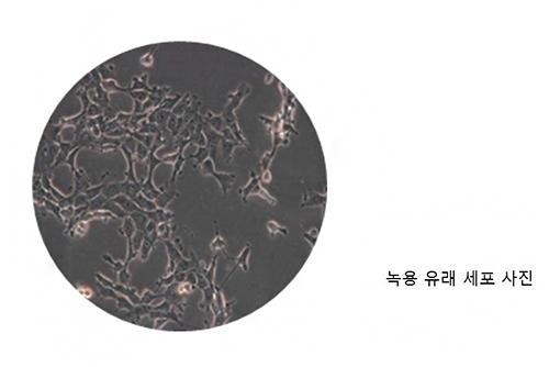 급변하는 바이오산업에서 셀로진이 말하는 생존전략은 무엇?