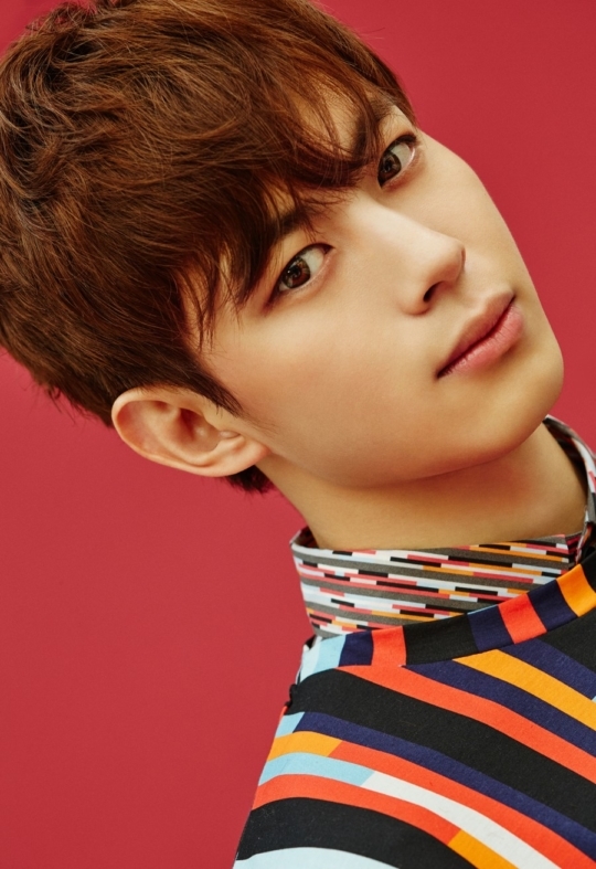 빅스 홍빈 새 콘셉트 아이디어, 사담할 때 제일 많이 나와