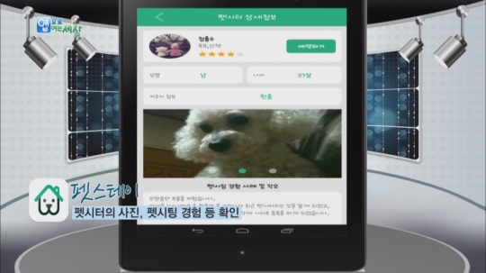 [앱으로 여는 세상] 이제는 펫시터(반려동물 돌봄이) 시대ㆍㆍㆍ펫스테이
