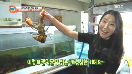 강원도메밀국수 메밀이야기, 불볕더위 식히는 시원한 막국수