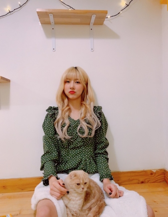 드림캐쳐 유현, 고양이들과 함께한 특별한 생일 전야 공개