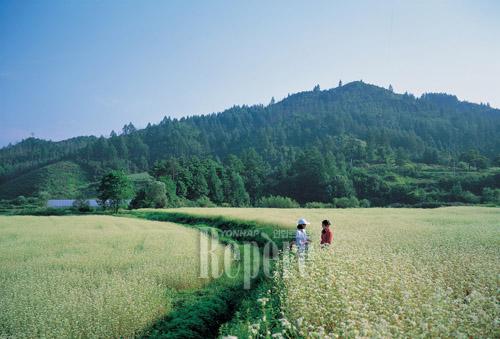 [TRAVEL NEWS24]가을 여행, 국내로 갈까? 해외로 떠나볼까?