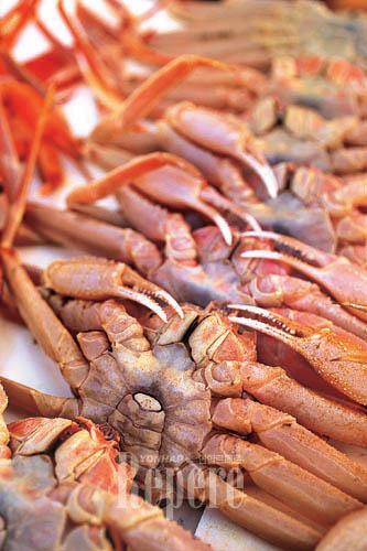 [TRAVEL FEATURE]대게 맛이 궁금하다면 영덕 강구항으로 가자