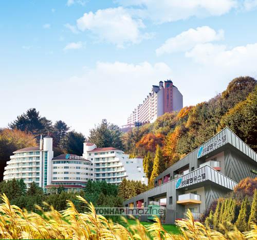 양지파인스키밸리, 9월 특가 시즌권 판매