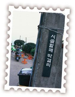 [장태동주유산천기] 연분홍 벚꽃이 봄바람에