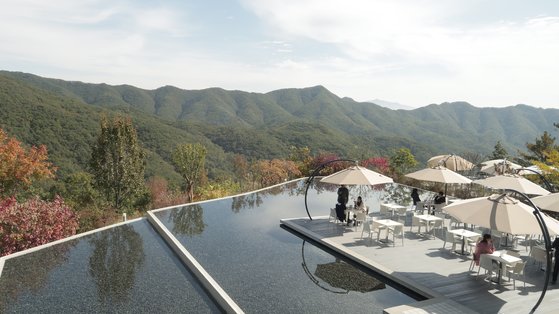 [#여행어디] 소금산 출렁다리·뮤지엄 산…가슴 뛰는 원주 한 바퀴